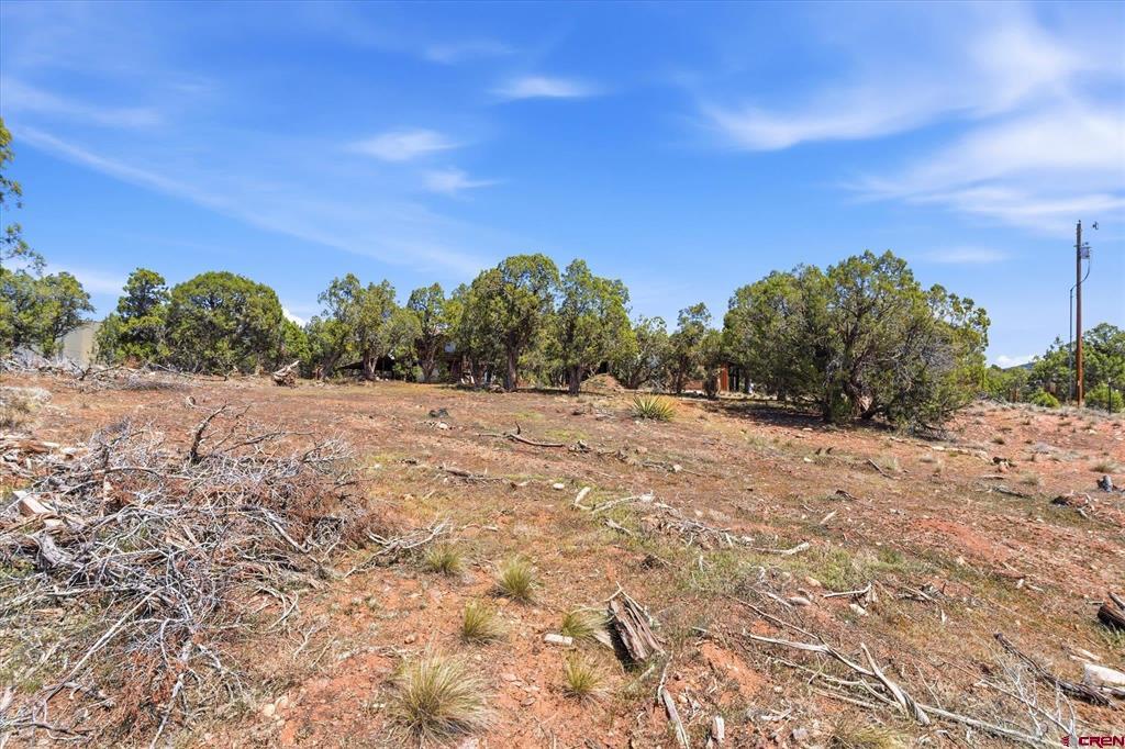 144 Pinon Hills Circle Arboles CO 81122