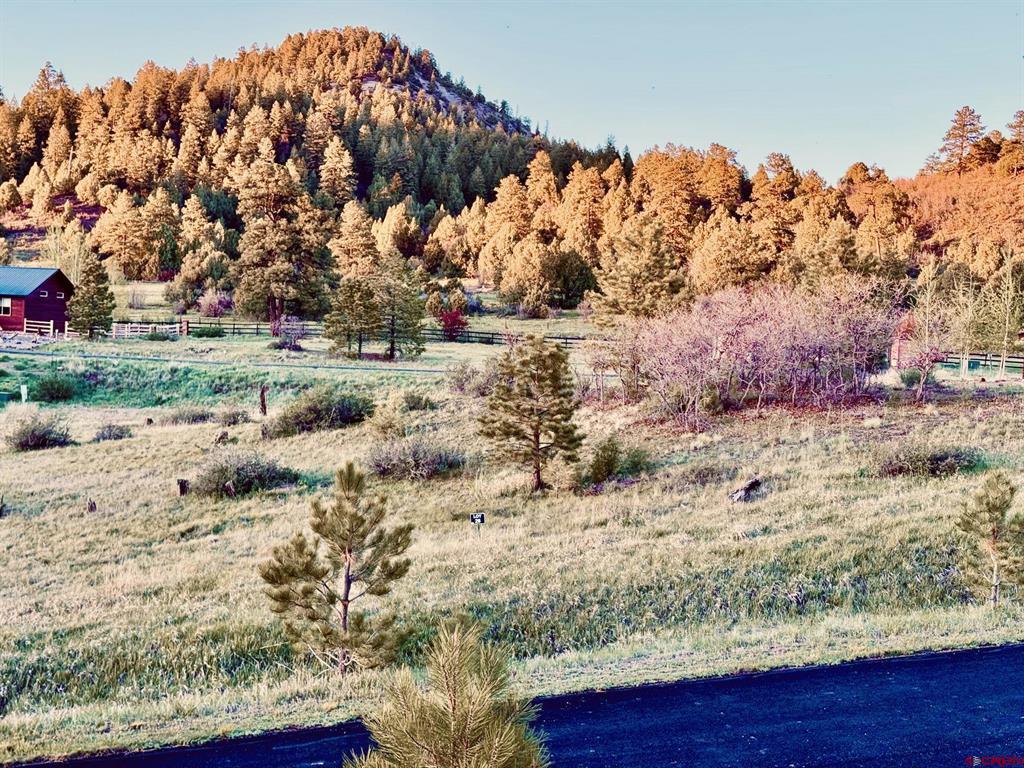 113 Incline Circle Pagosa Springs CO 81147