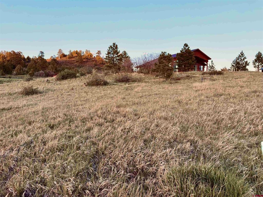 113 Incline Circle Pagosa Springs CO 81147