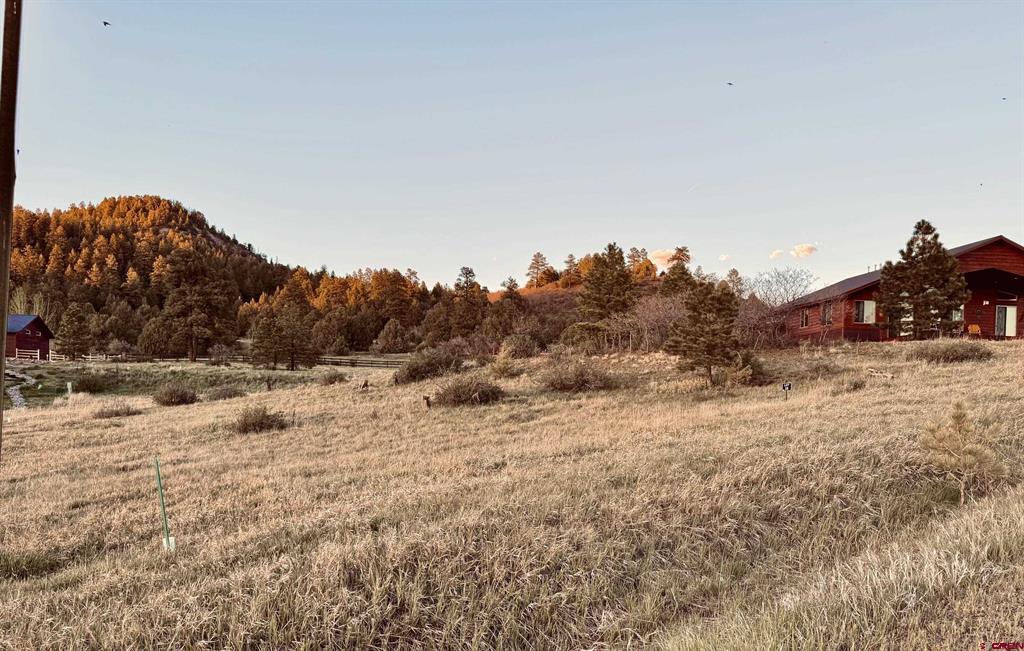 113 Incline Circle Pagosa Springs CO 81147