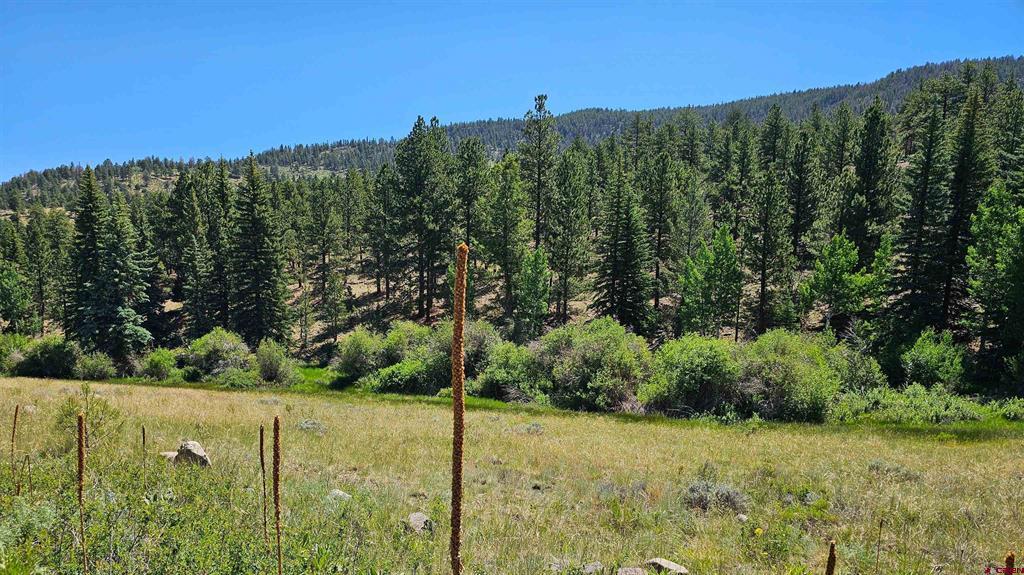 356 Church Creek Drive South Fork CO 81154