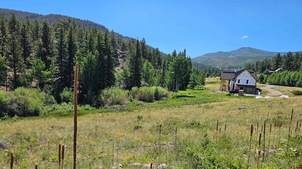 356 Church Creek Drive South Fork CO 81154