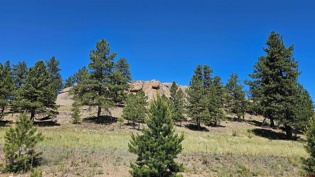 356 Church Creek Drive South Fork CO 81154