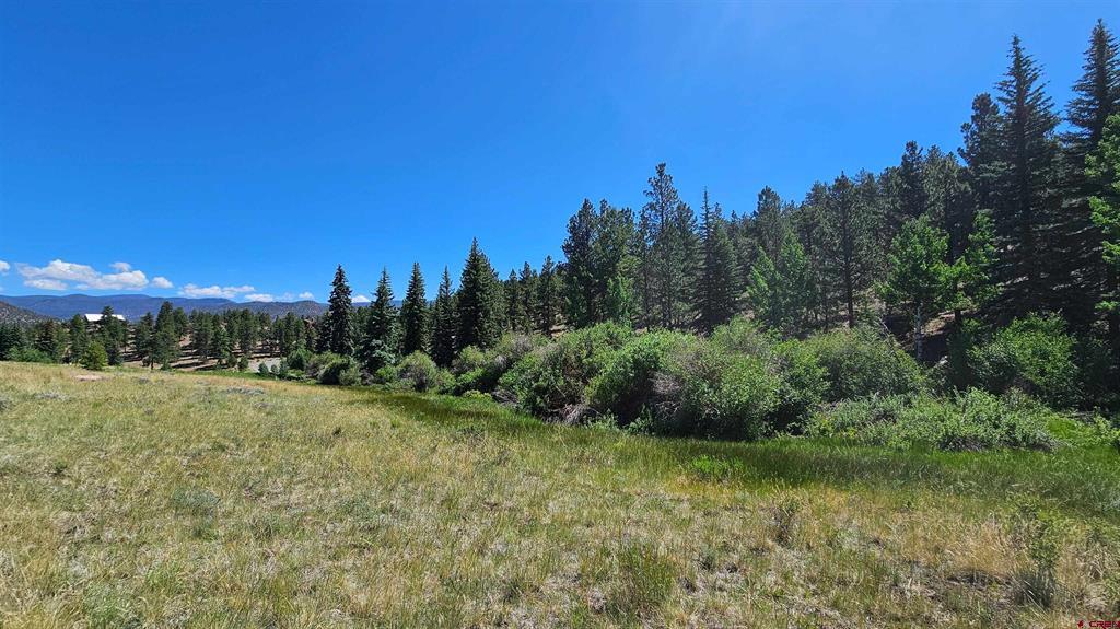 356 Church Creek Drive South Fork CO 81154
