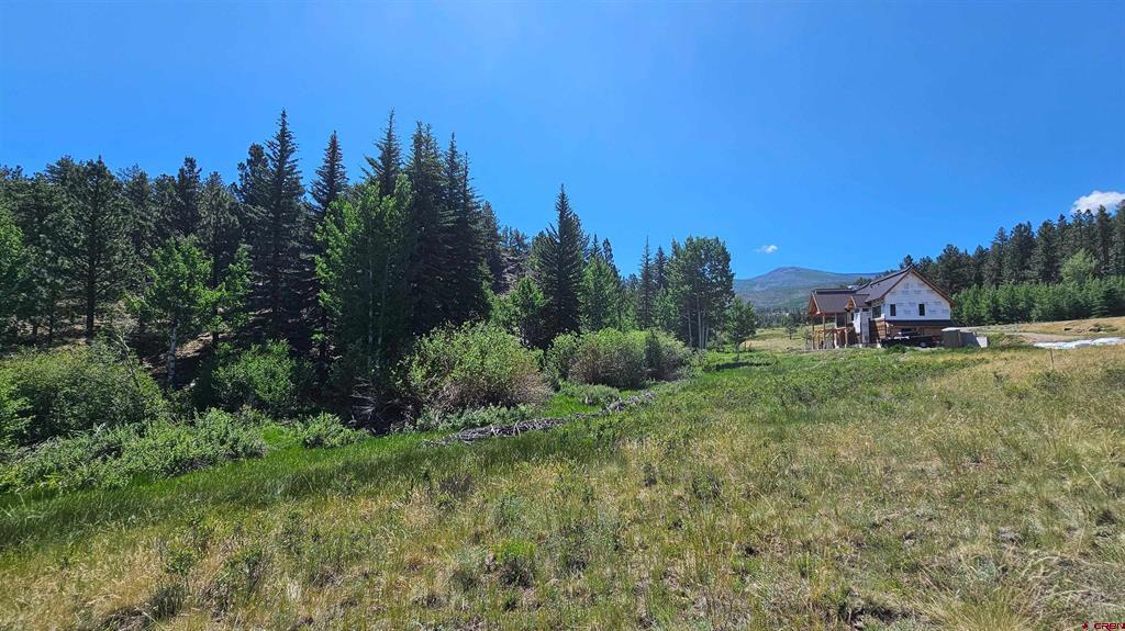 356 Church Creek Drive South Fork CO 81154