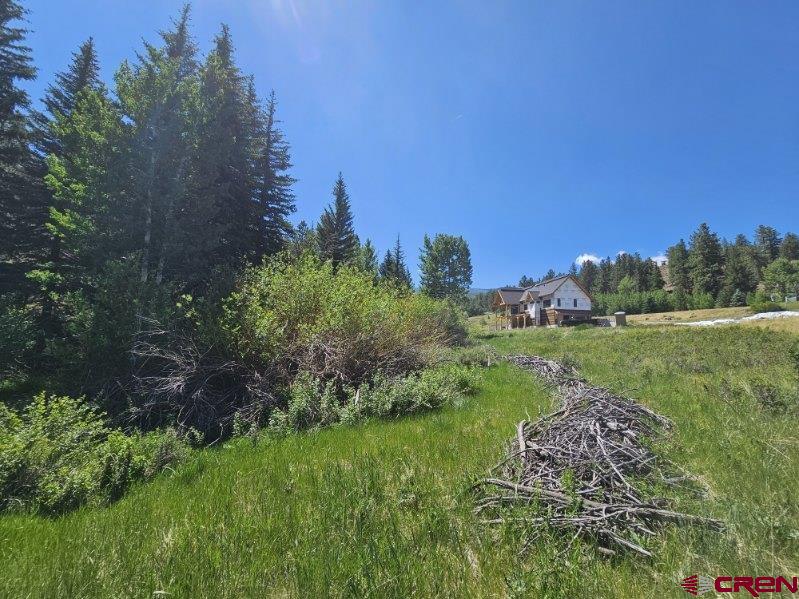 356 Church Creek Drive South Fork CO 81154