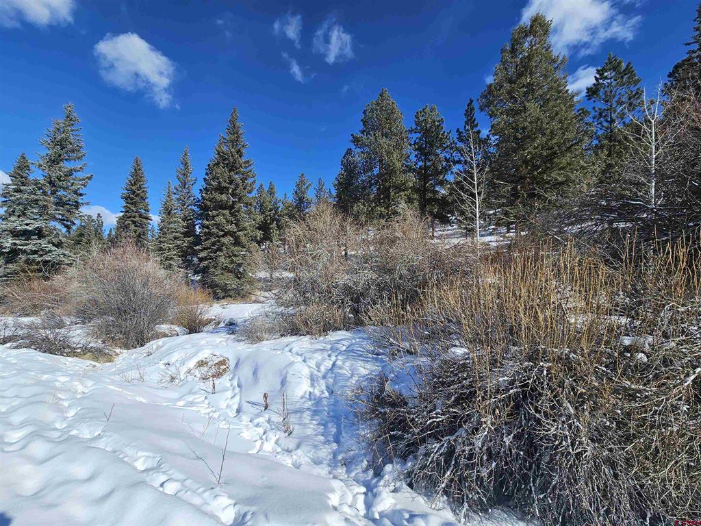 356 Church Creek Drive South Fork CO 81154