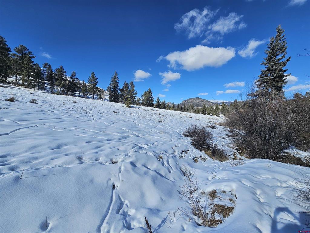 356 Church Creek Drive South Fork CO 81154
