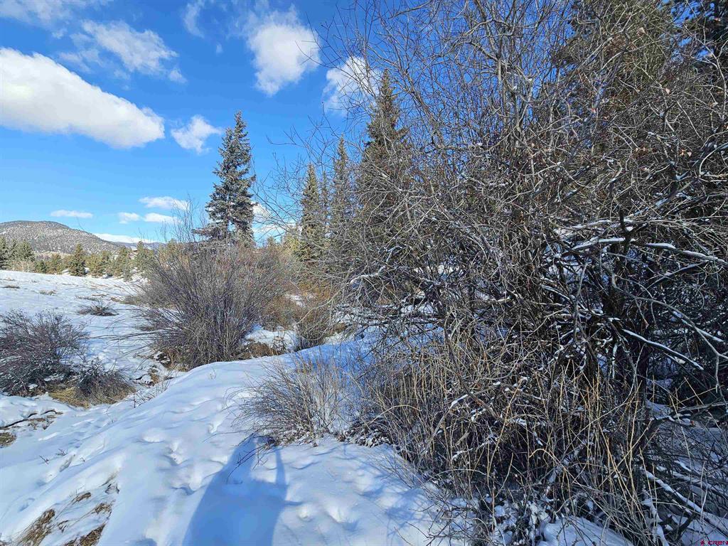 356 Church Creek Drive South Fork CO 81154