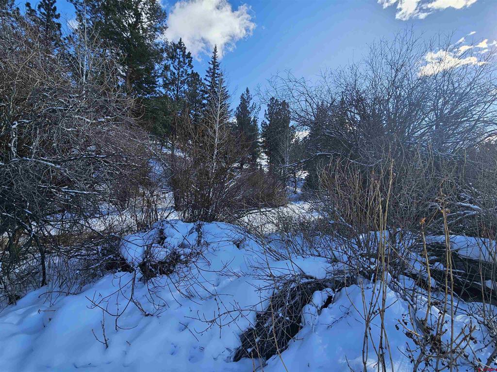 356 Church Creek Drive South Fork CO 81154