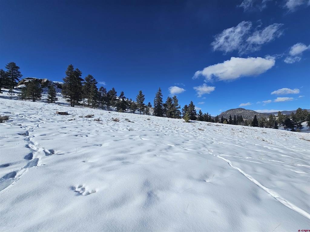 356 Church Creek Drive South Fork CO 81154