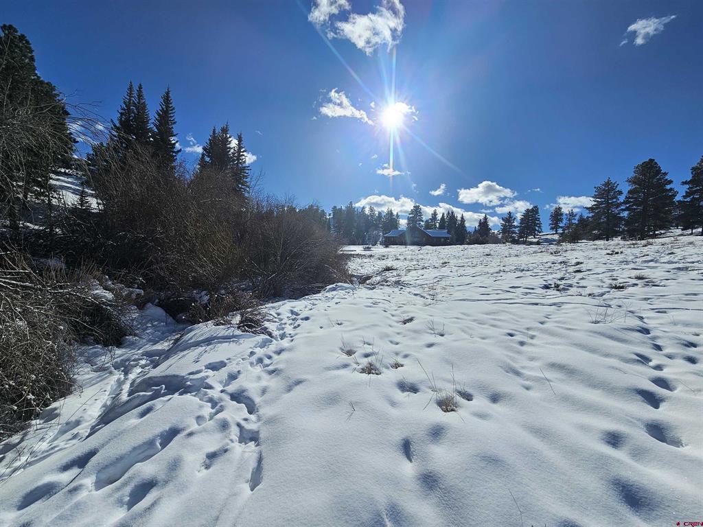 356 Church Creek Drive South Fork CO 81154