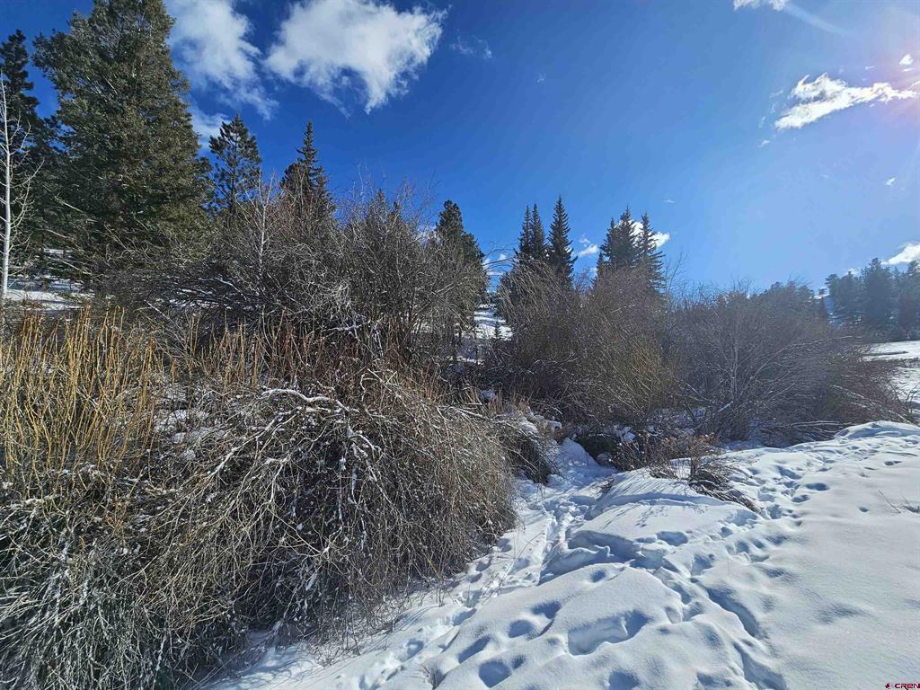 356 Church Creek Drive South Fork CO 81154