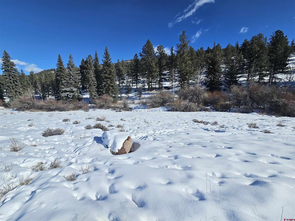 356 Church Creek Drive South Fork CO 81154