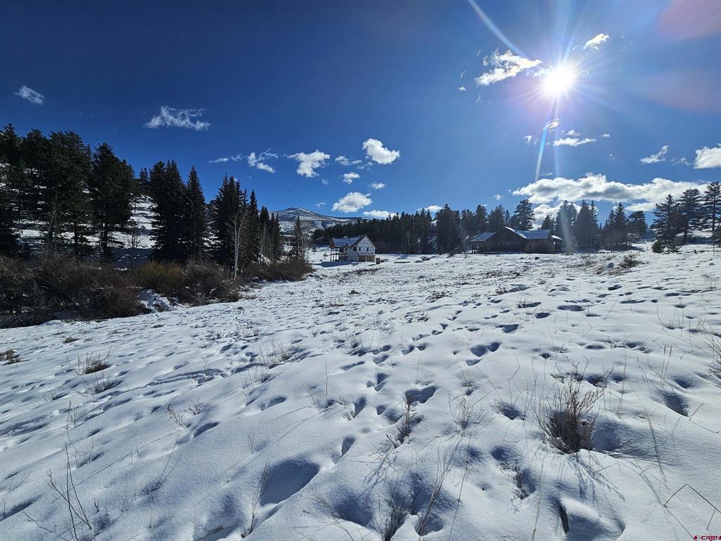 356 Church Creek Drive South Fork CO 81154