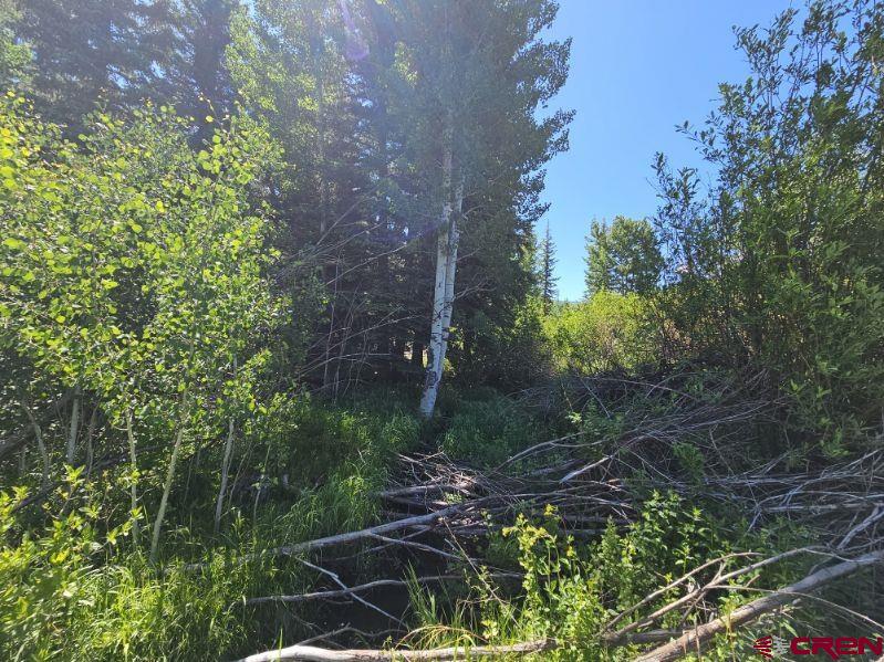 356 Church Creek Drive South Fork CO 81154
