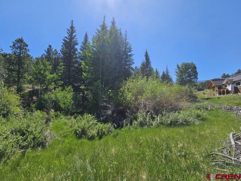 356 Church Creek Drive South Fork CO 81154