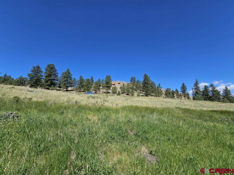 356 Church Creek Drive South Fork CO 81154