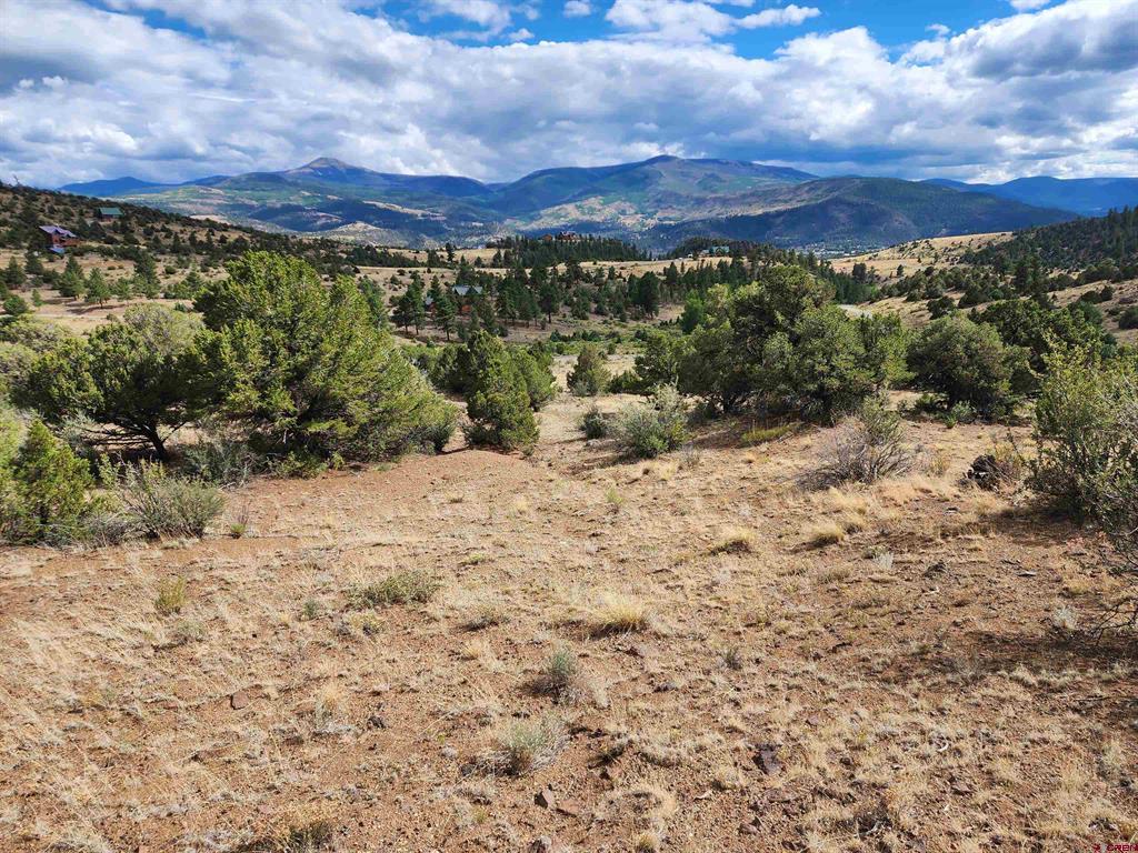 2867 Bear Creek Circle South Fork CO 81154