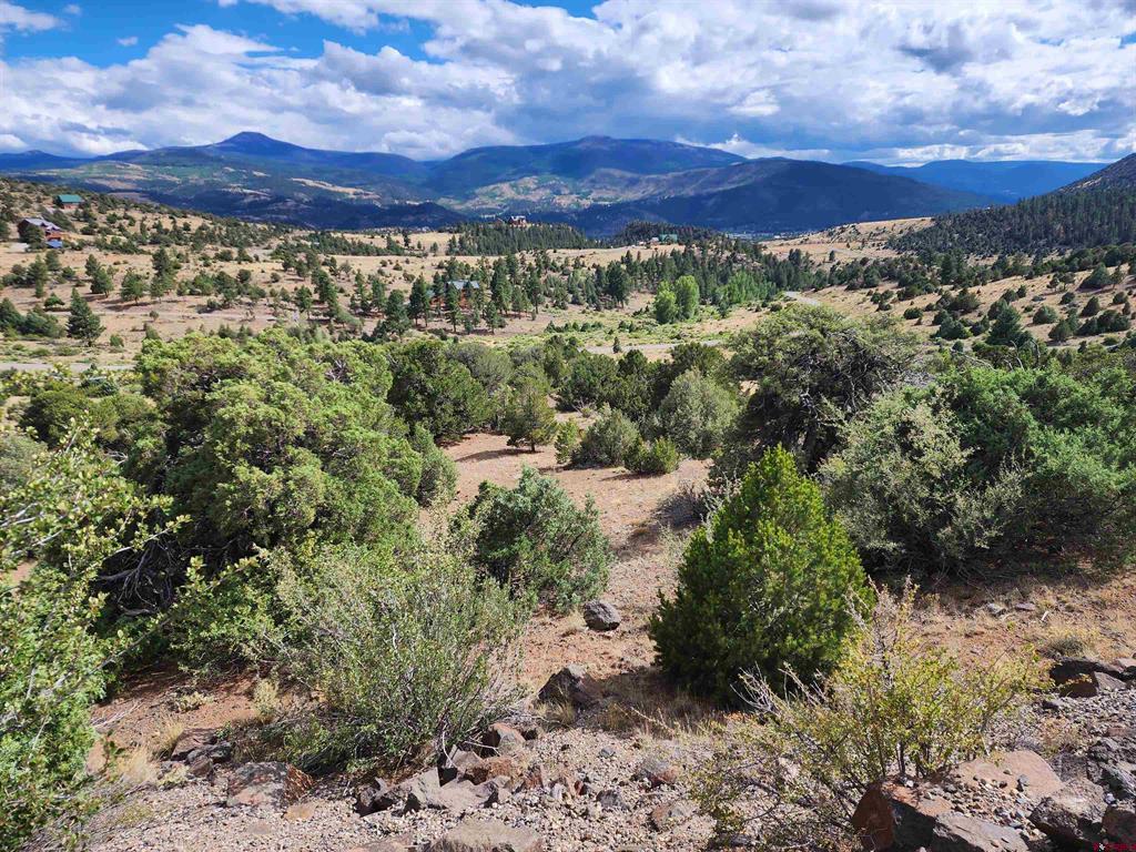 2867 Bear Creek Circle South Fork CO 81154