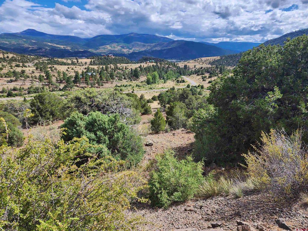 2867 Bear Creek Circle South Fork CO 81154