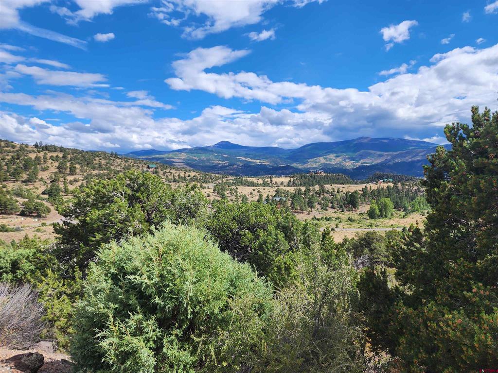 2867 Bear Creek Circle South Fork CO 81154
