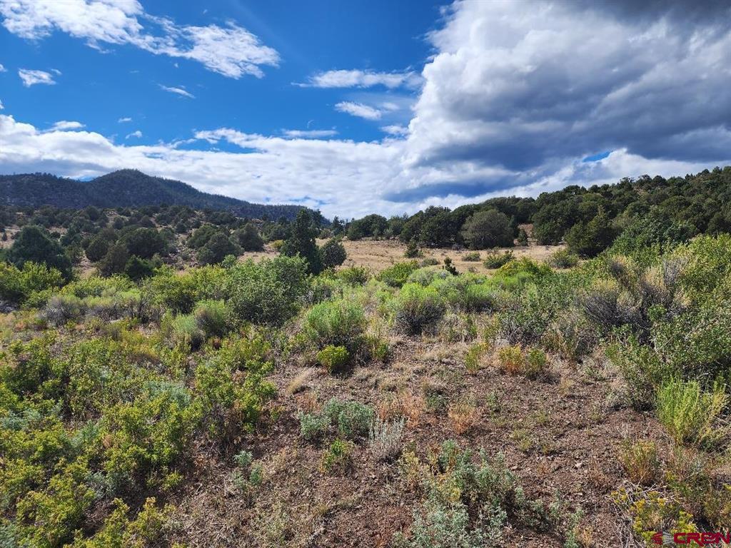 2867 Bear Creek Circle South Fork CO 81154