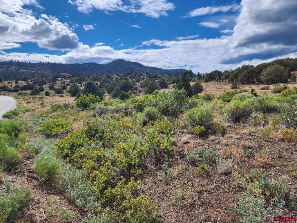 2867 Bear Creek Circle South Fork CO 81154