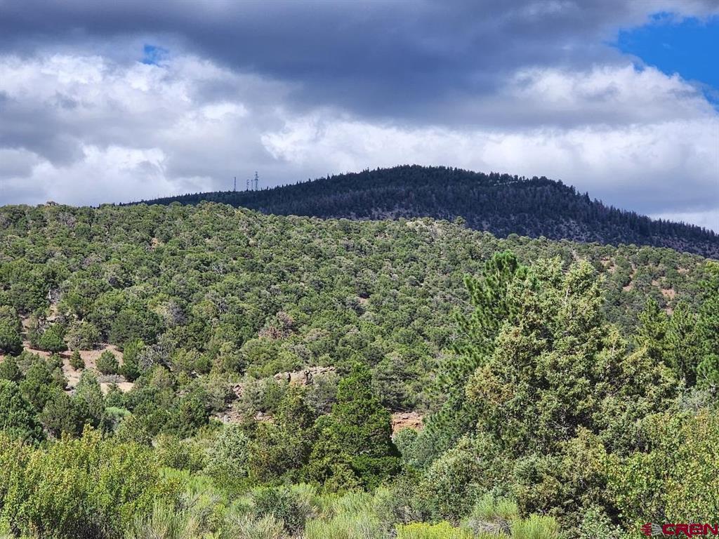 2867 Bear Creek Circle South Fork CO 81154