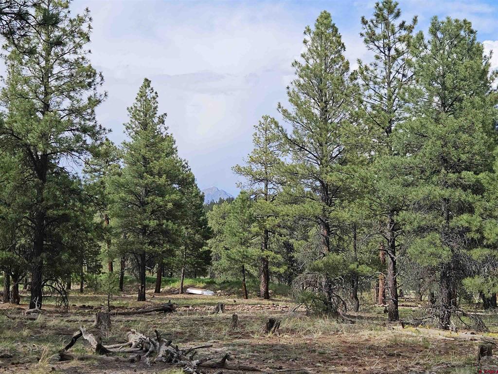 155 Monterosa Court Pagosa Springs CO 81147
