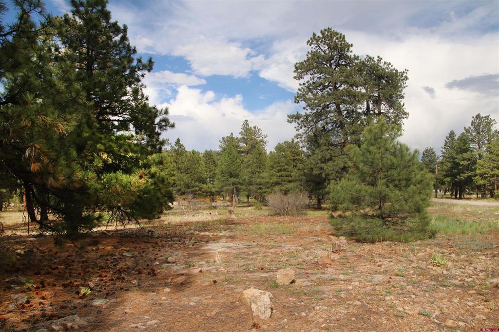 155 Monterosa Court Pagosa Springs CO 81147