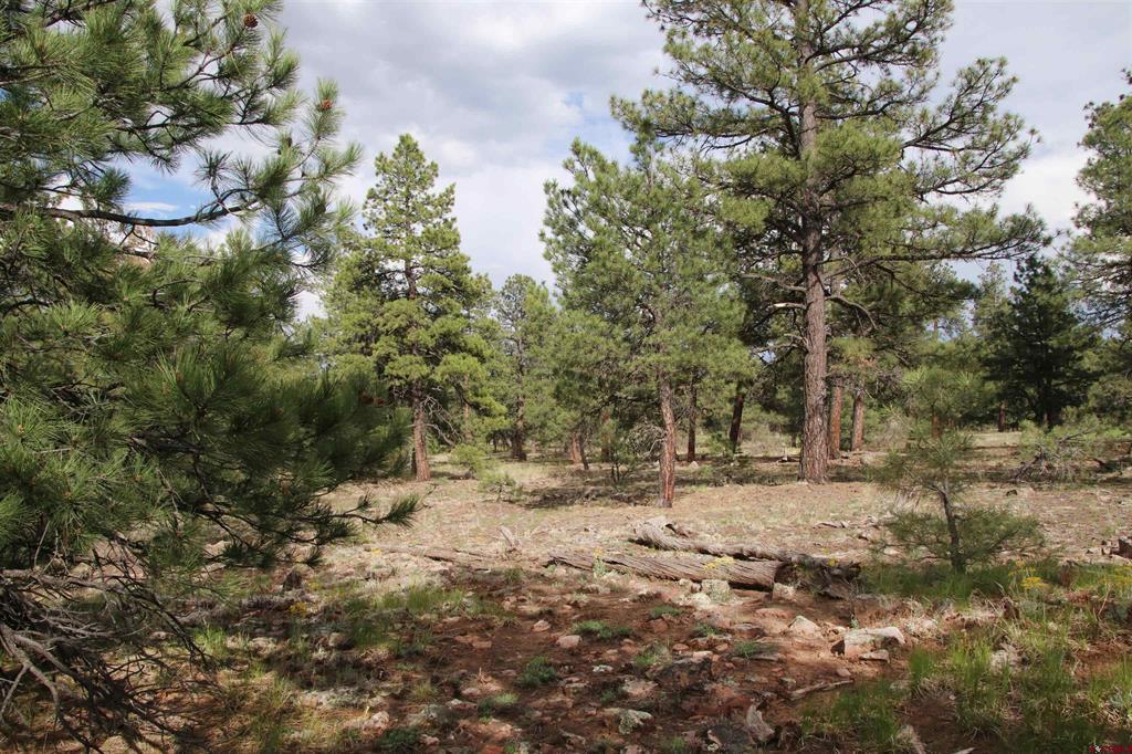 155 Monterosa Court Pagosa Springs CO 81147