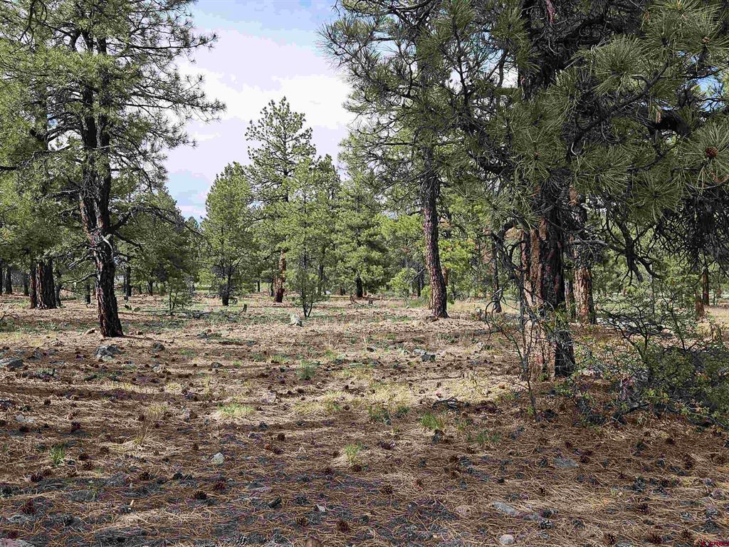 155 Monterosa Court Pagosa Springs CO 81147