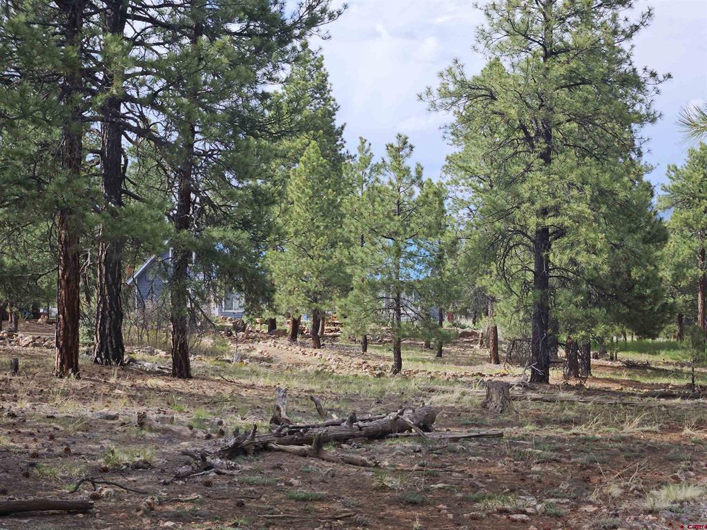 155 Monterosa Court Pagosa Springs CO 81147
