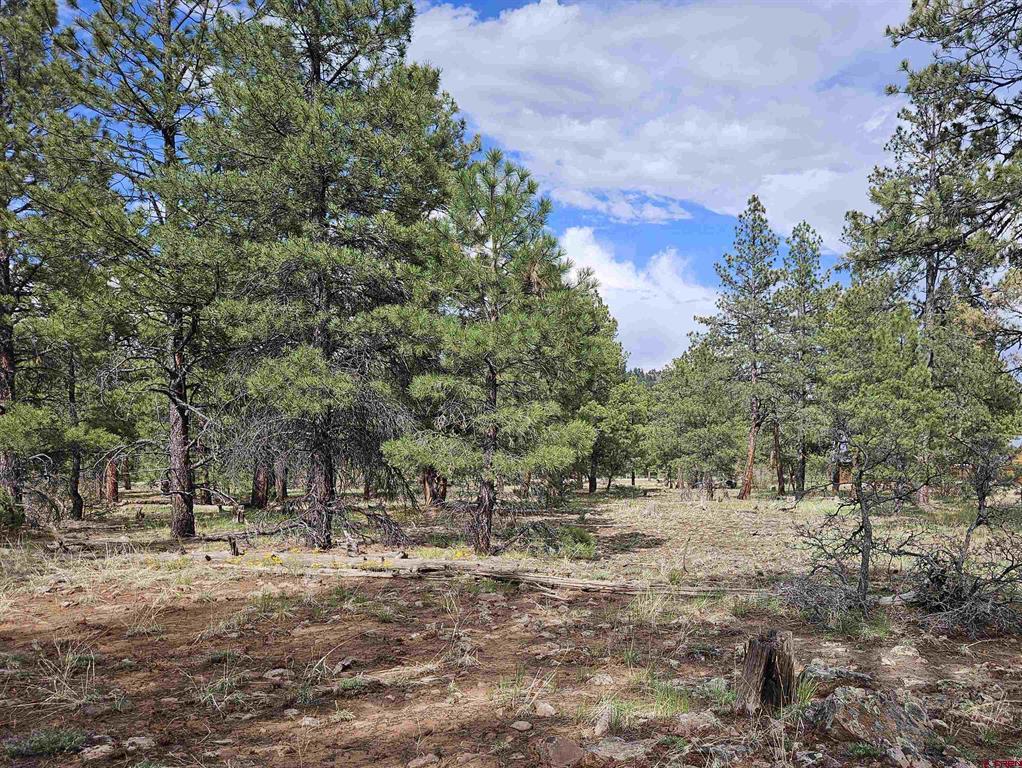 155 Monterosa Court Pagosa Springs CO 81147