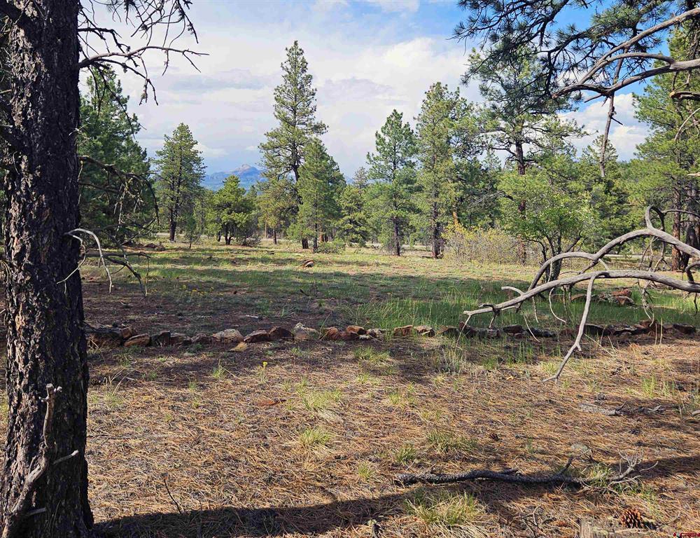 155 Monterosa Court Pagosa Springs CO 81147