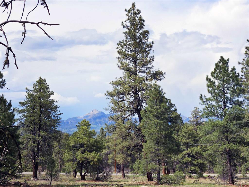 155 Monterosa Court Pagosa Springs CO 81147