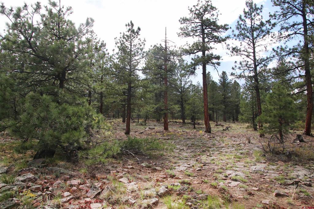 155 Monterosa Court Pagosa Springs CO 81147