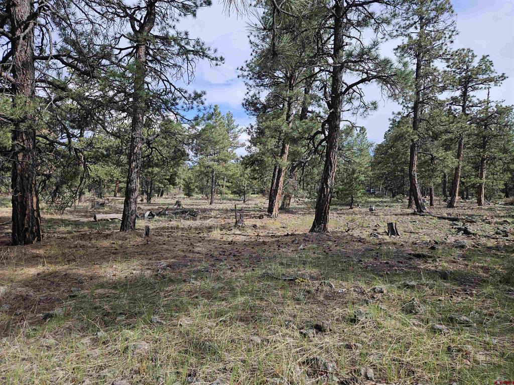 155 Monterosa Court Pagosa Springs CO 81147