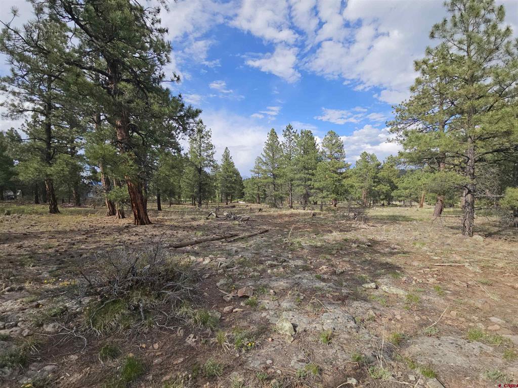 155 Monterosa Court Pagosa Springs CO 81147