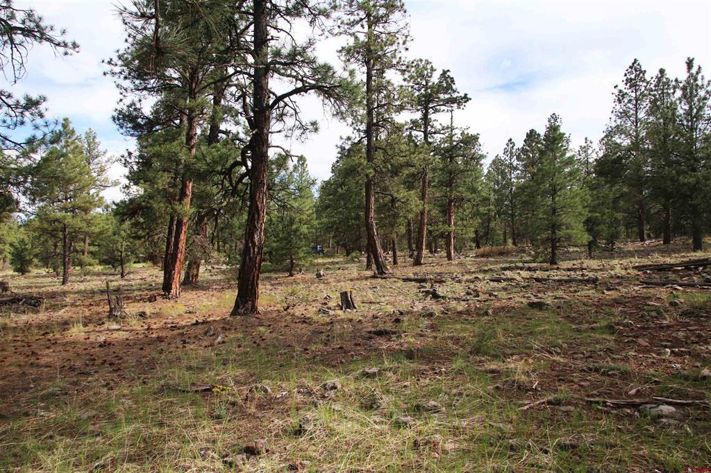 155 Monterosa Court Pagosa Springs CO 81147
