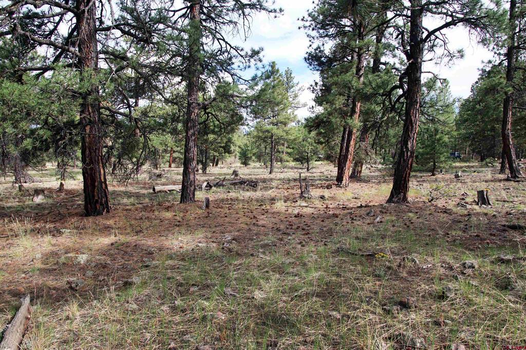 155 Monterosa Court Pagosa Springs CO 81147