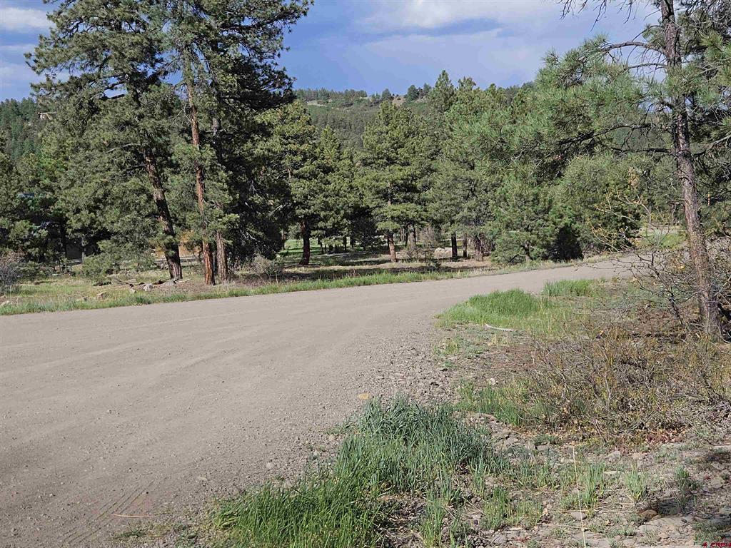 155 Monterosa Court Pagosa Springs CO 81147
