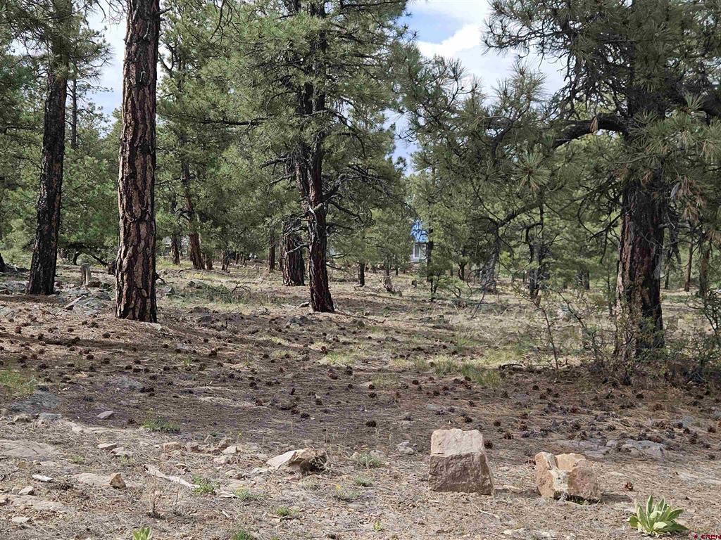 155 Monterosa Court Pagosa Springs CO 81147
