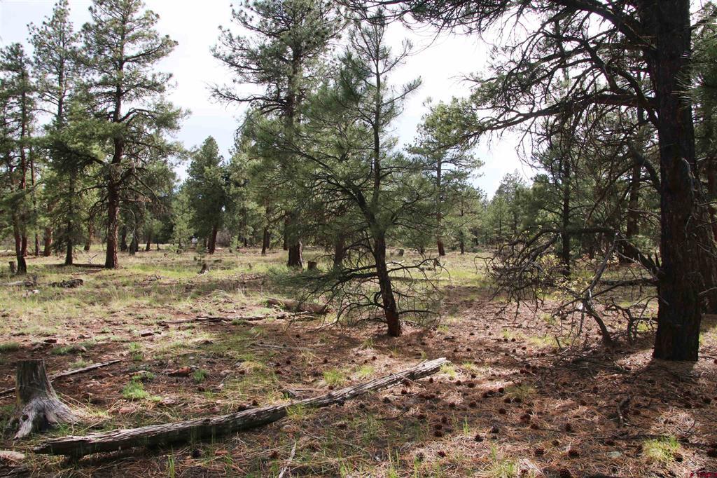 155 Monterosa Court Pagosa Springs CO 81147