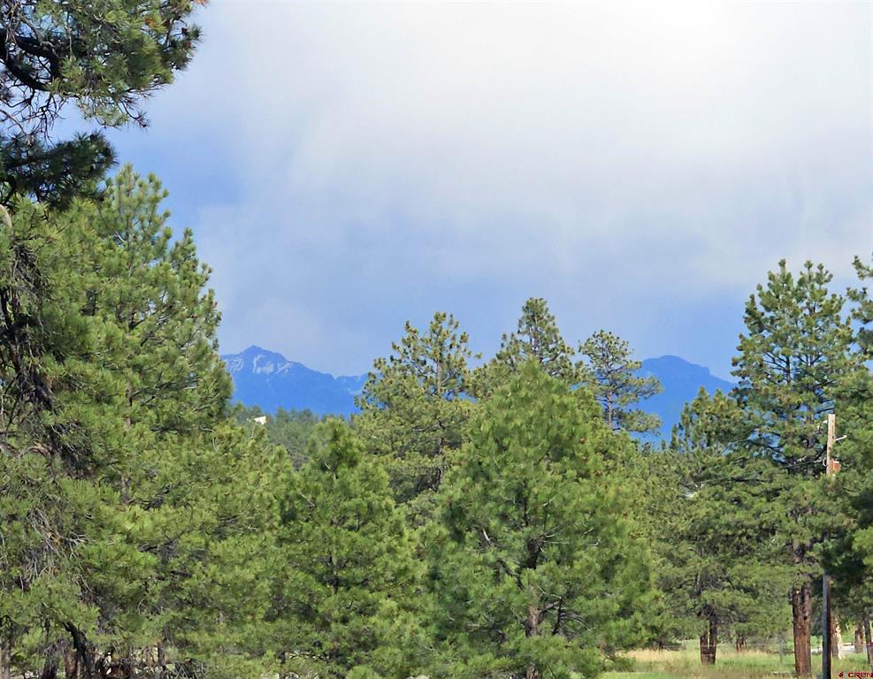 155 Monterosa Court Pagosa Springs CO 81147