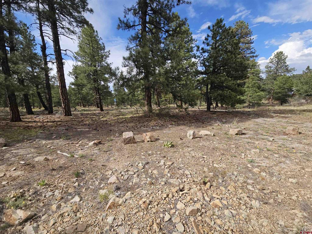 155 Monterosa Court Pagosa Springs CO 81147