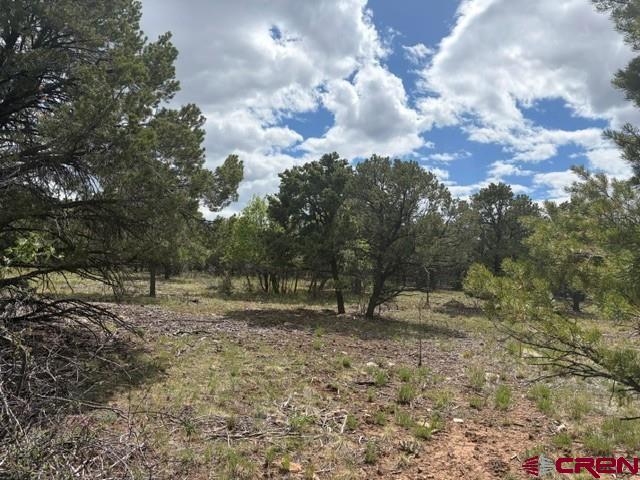 Lot 4 Tower Road North Ridgway CO 81432