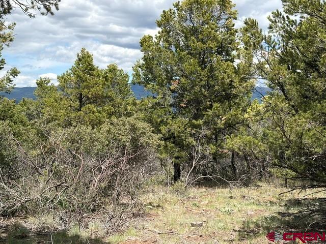 Lot 4 Tower Road North Ridgway CO 81432