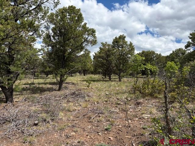 Lot 4 Tower Road North Ridgway CO 81432